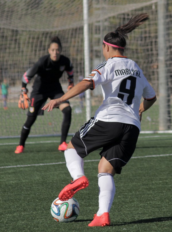 vcfFA_mapi_1415_02